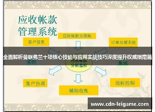 全面解析曼联弗兰十项核心技能与应用实战技巧深度提升权威指南篇