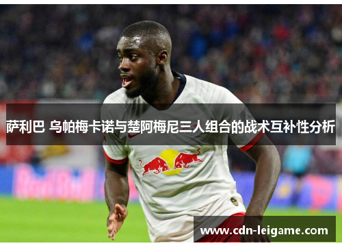 萨利巴 乌帕梅卡诺与楚阿梅尼三人组合的战术互补性分析