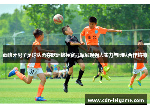 西班牙男子足球队勇夺欧洲锦标赛冠军展现强大实力与团队合作精神