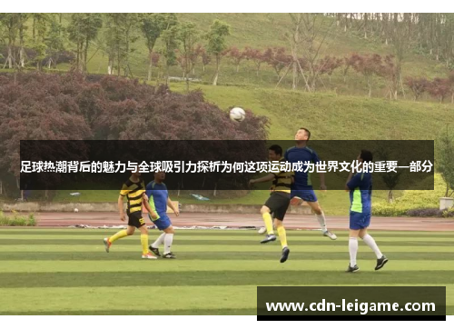 足球热潮背后的魅力与全球吸引力探析为何这项运动成为世界文化的重要一部分