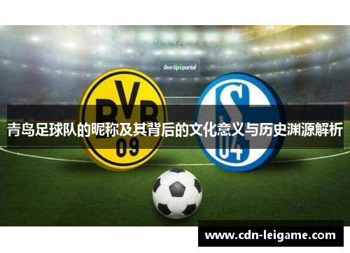 青岛足球队的昵称及其背后的文化意义与历史渊源解析 青岛足球队的昵称及其背后的文化意义与历史渊源解析
