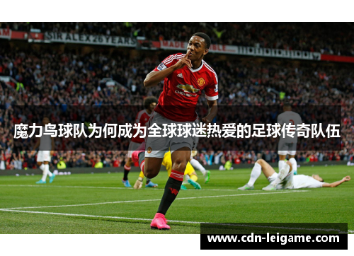 魔力鸟球队为何成为全球球迷热爱的足球传奇队伍
