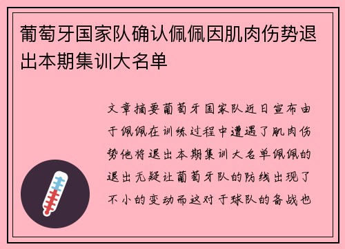 葡萄牙国家队确认佩佩因肌肉伤势退出本期集训大名单